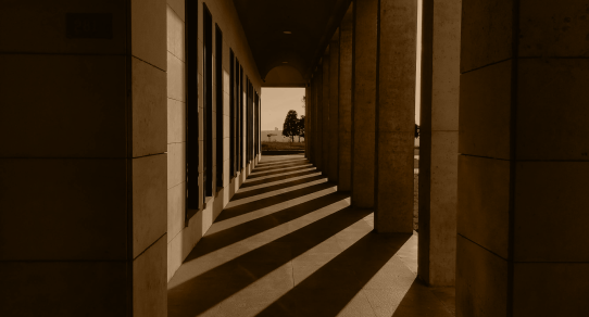 Weekly Newsletter – 9th May , 2025