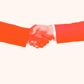 Strategic Partner, Not Just Software Vendor
